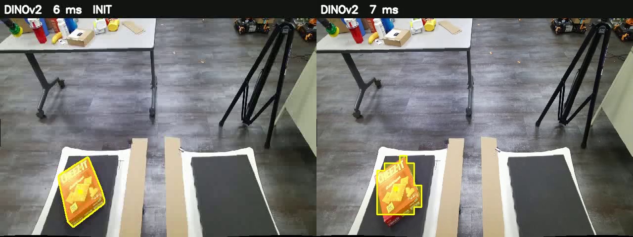 DINOv2 region on the init and next frame, shown separately from pose updates